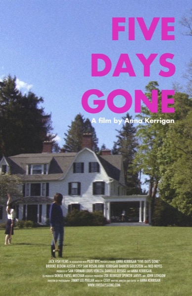 Poster for Five Days Gone
